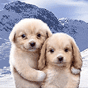 �W�Ƿ|���G�Ȥ@
�U�����ơG667