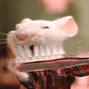 �W�Ƿ|���G�Ȥ@
�U�����ơG839