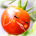 �W�Ƿ|���Gyk@
�U�����ơG3856