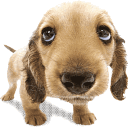 �W�Ƿ|���Gayumikiyo
�U�����ơG27138