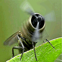 �W�Ƿ|���G�Ȥ@
�U�����ơG7467