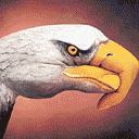 �W�Ƿ|���G�Ȥ@
�U�����ơG117